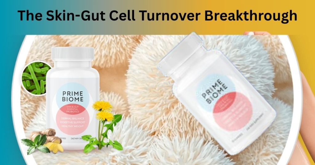Anti-aging skin support