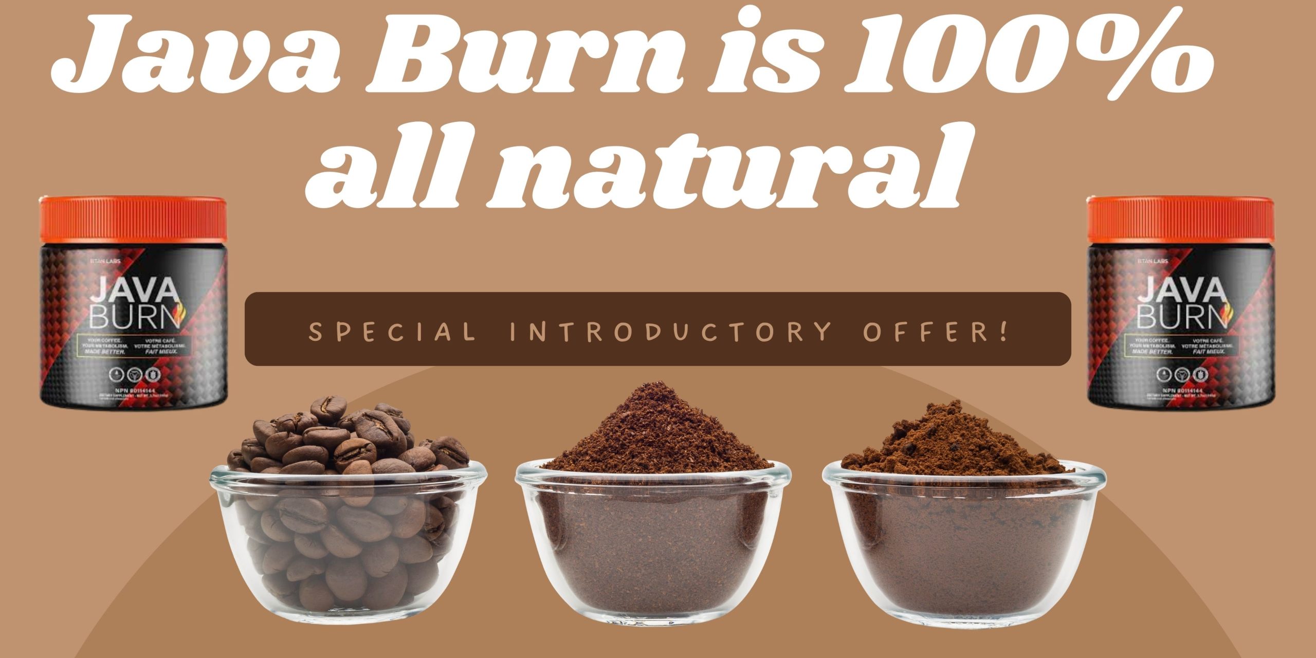 Java Burn review